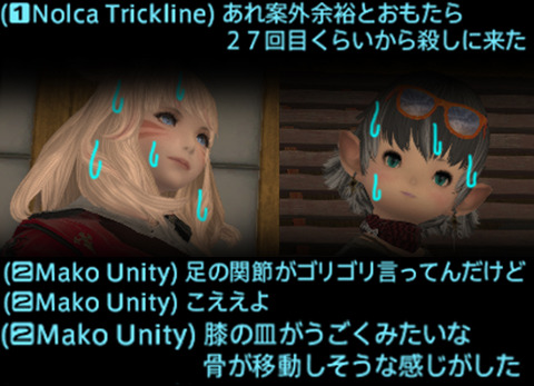 ffxiv_20190208_221250_058a