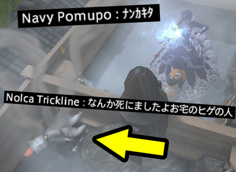 ffxiv_20190209_222501_951