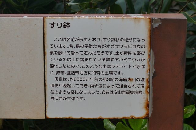 P1880802