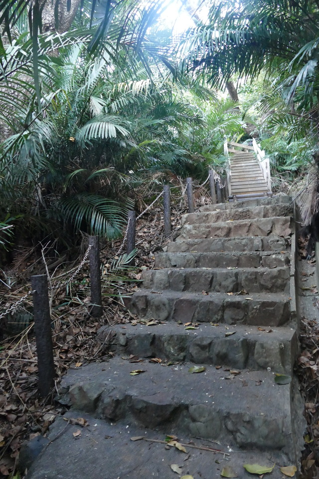 P1890788