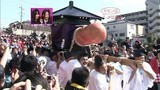 323559f1.jpg