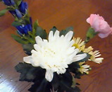 30d65c6d.jpg