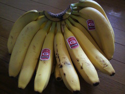 P1000001