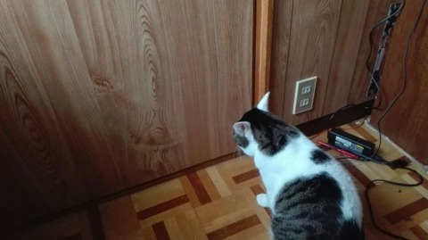 IMG_20180707_171551_e