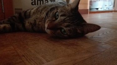 IMG_20180812_155439_e