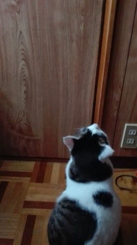 IMG_20180707_171636_e