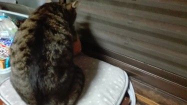 IMG_20180925_085040_e