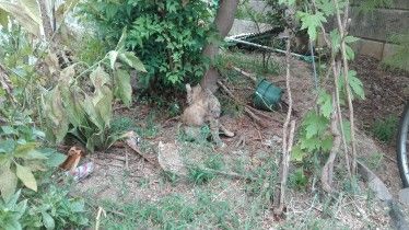 IMG_20180808_175458_e