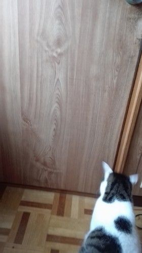 IMG_20180707_171608_e