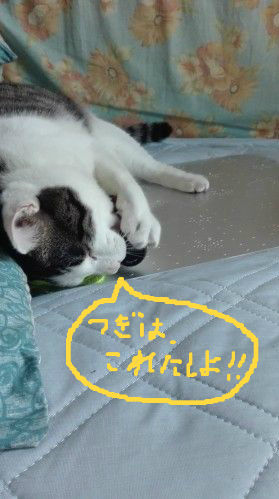 BlogPaint