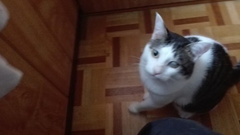 IMG_20180707_171528_e