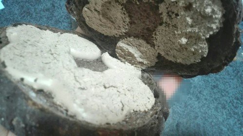 黒いメロンパン中身