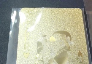 カードプロテクター大