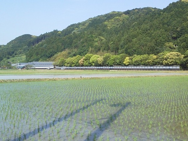 20120517182628_893_1