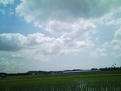 20080528095256