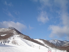 DSC06955