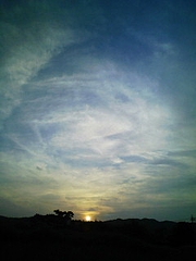 20080616183506