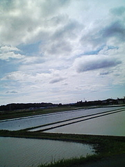 20080419095644