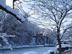 DSC07036