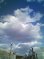 20080401161453