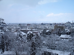 DSC07053