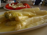 spergel