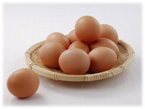 irodori_eggkago