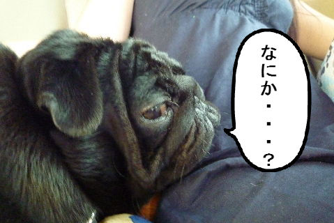 BlogPaint