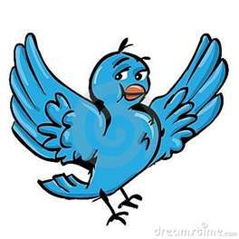 bird-2