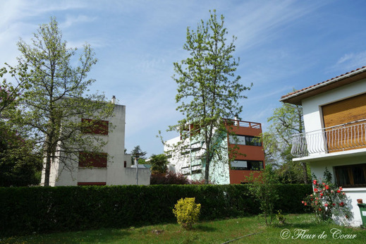 DSC05427