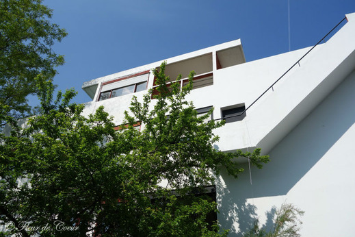 DSC05474