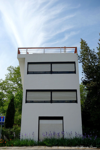 DSC05429