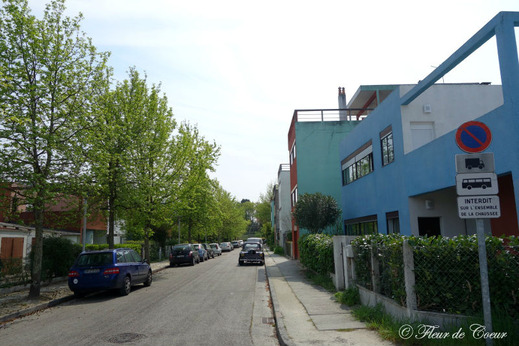 DSC05455