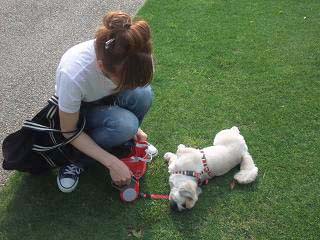2009_06020225