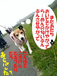 ひめこ1