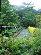 DSCF7891