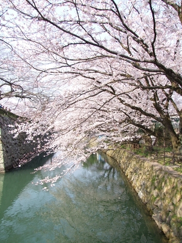 DSCF2447_R