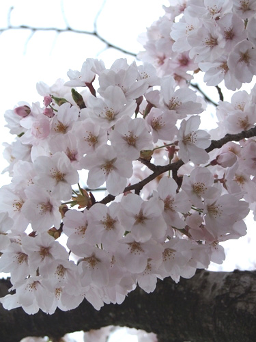 DSCF2079_R
