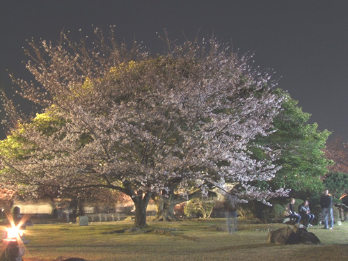 DSCF2221_R