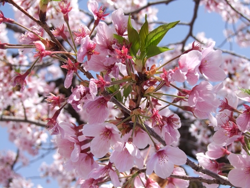 DSCF2549_R