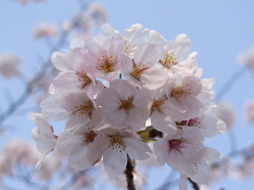DSCF2511_R