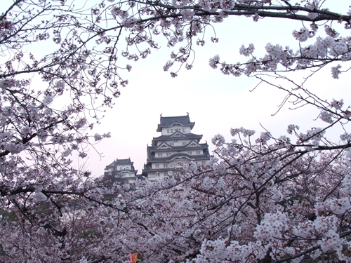 DSCF2091_R