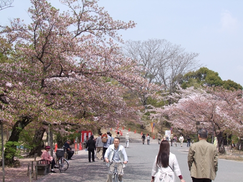DSCF2614_R