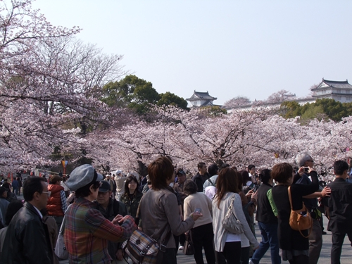 DSCF2370_R