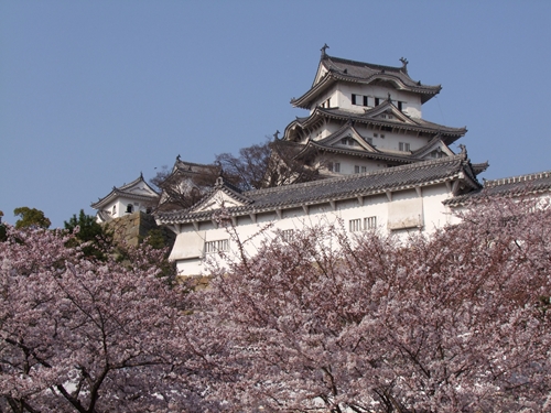 DSCF2463_R