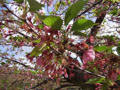 DSCF2642_R