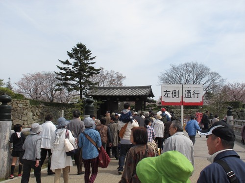 姫路城 4月1日