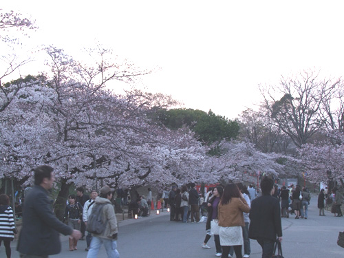 DSCF2074_R