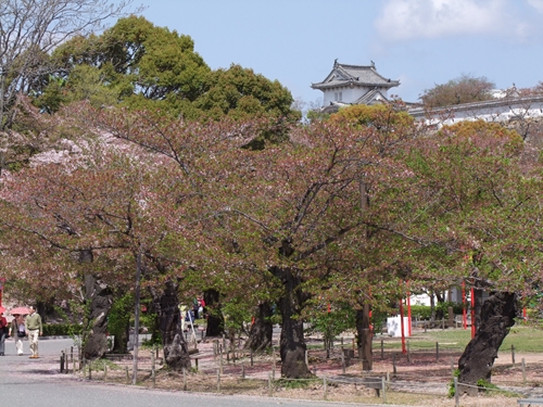 DSCF2637_R