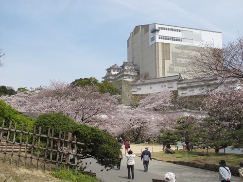姫路城の桜 4月1日